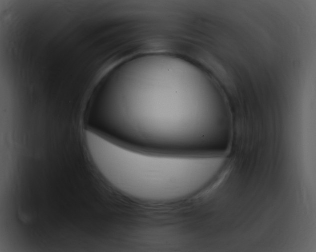 X0000096981465200802080849