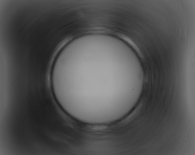 X0000096981466200802080849