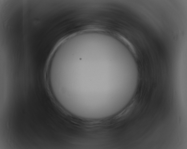 X0000096981467200802080849
