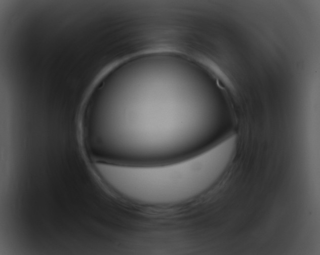 X0000096981468200802080849