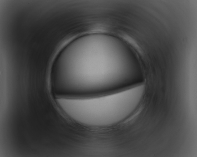 X0000096981469200802080849