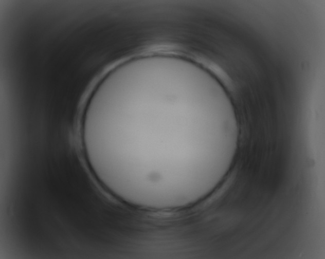 X0000096981470200802080849