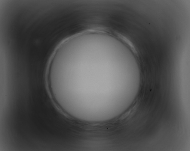 X0000096981471200802080849
