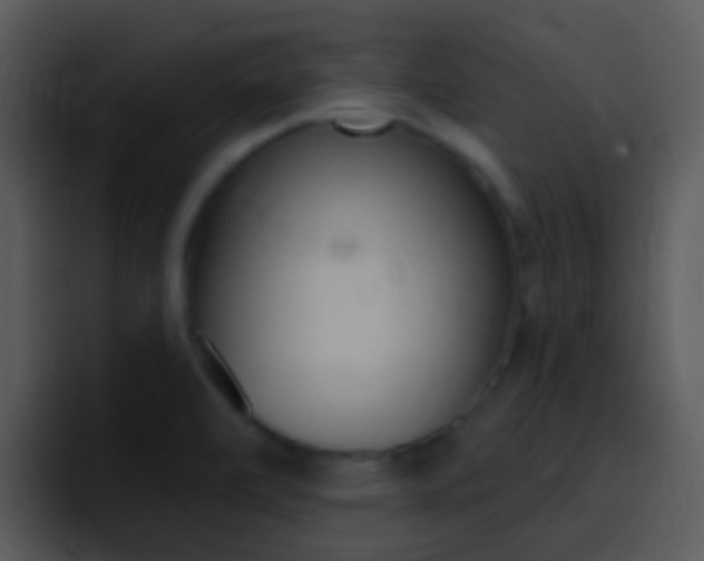 X0000096981472200802080849