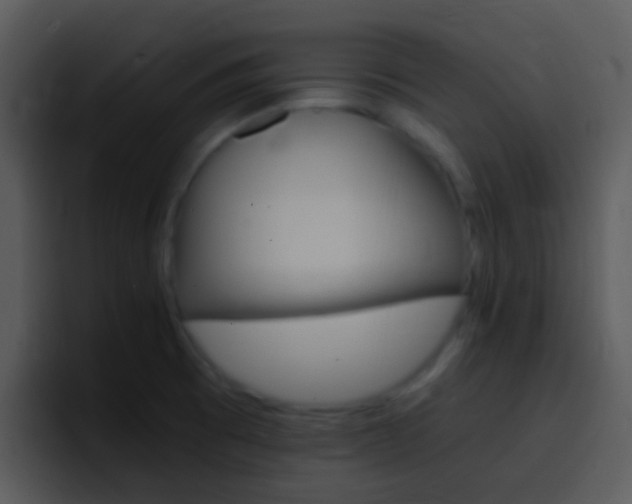 X0000096981473200802080849