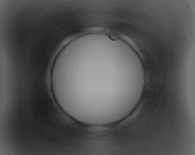 X0000096981474200802080849