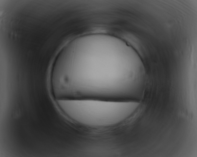 X0000096981475200802080849