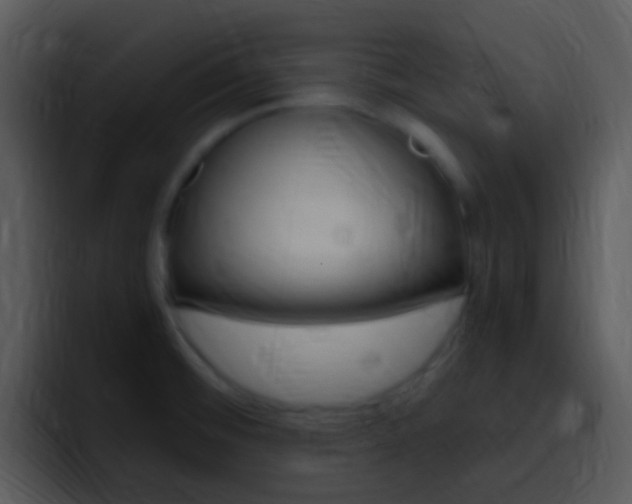X0000096981476200802080849