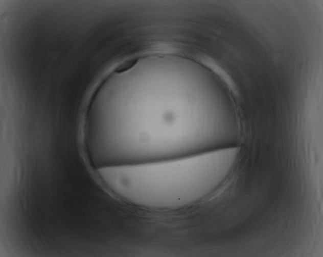 X0000096981477200802080849