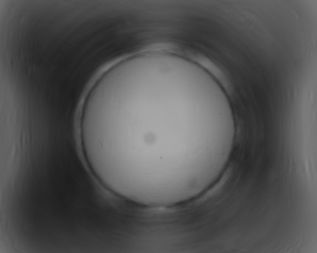X0000096981478200802080849
