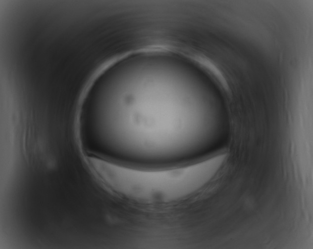 X0000096981480200802080849