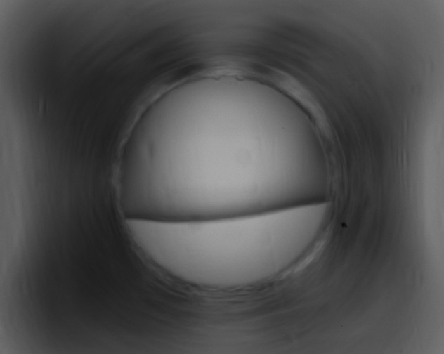 X0000096981481200802080849
