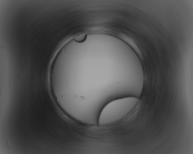 X0000096981482200802080849