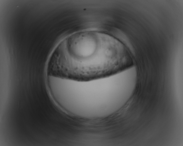 X0000096981483200802080849