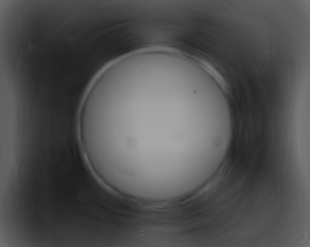 X0000096981484200802080849