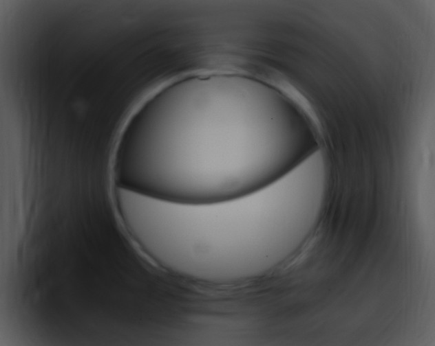X0000096981485200802080849