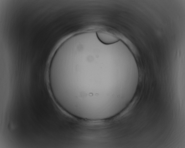X0000096981486200802080849