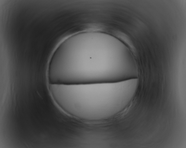 X0000096981487200802080849