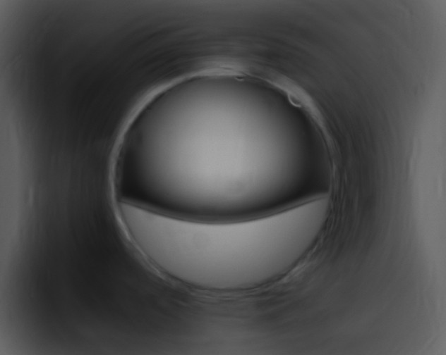 X0000096981488200802080849