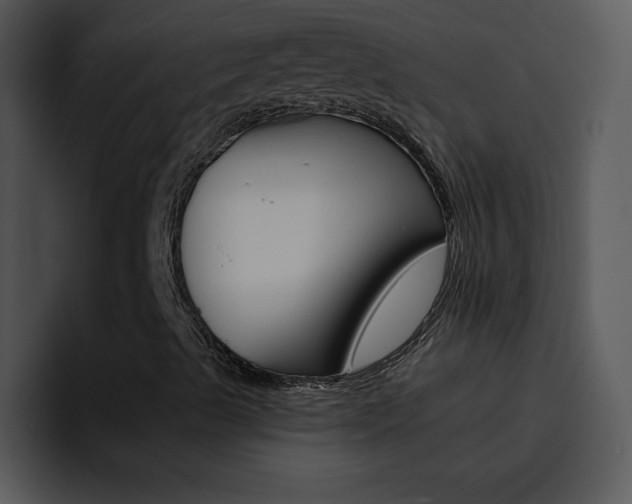 X0000096981489200802080849