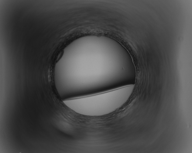 X0000096981490200802080849