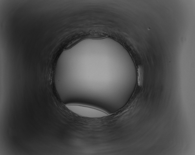 X0000096981491200802080849