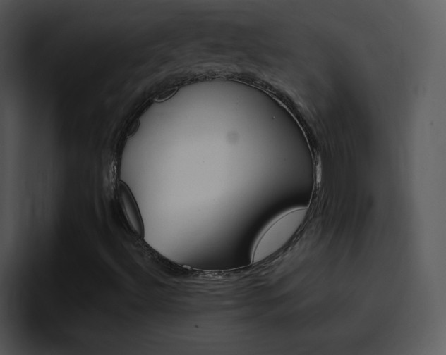 X0000096981492200802080849