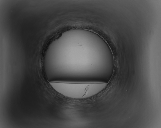 X0000096981493200802080849
