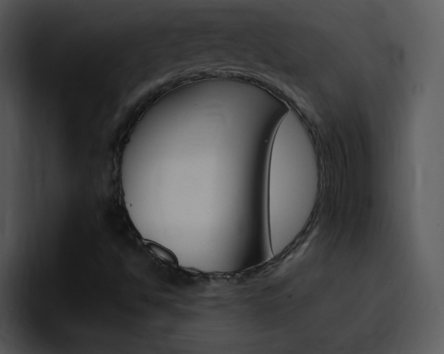 X0000096981494200802080849