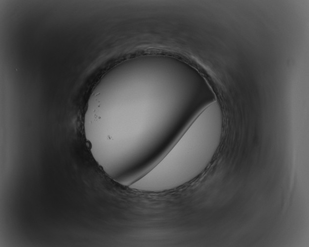 X0000096981495200802080849