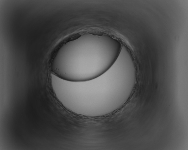 X0000096981496200802080849