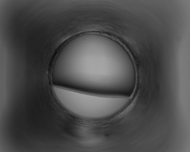 X0000096981497200802080849
