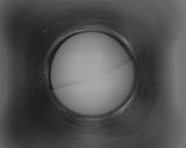 X0000096981498200802080849