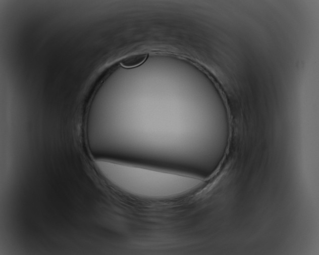 X0000096981499200802080849