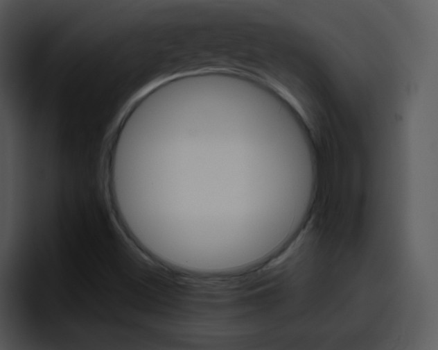 X0000096981500200802080849