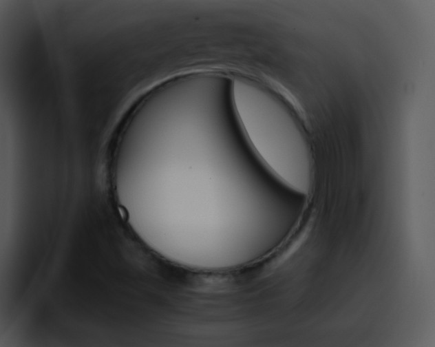 X0000096981501200802080849