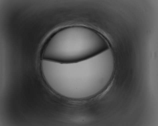X0000096981502200802080849