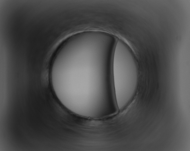 X0000096981503200802080849