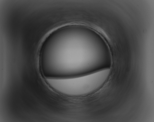 X0000096981504200802080849