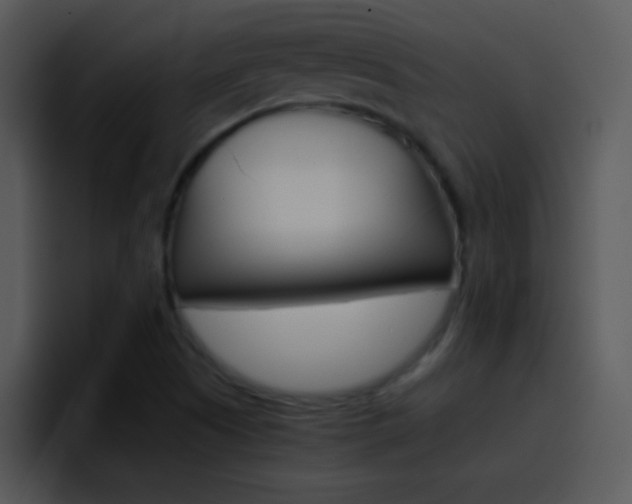 X0000096981505200802080849
