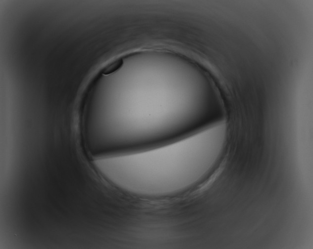X0000096981506200802080849