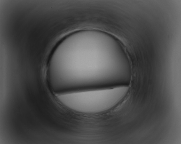 X0000096981507200802080849