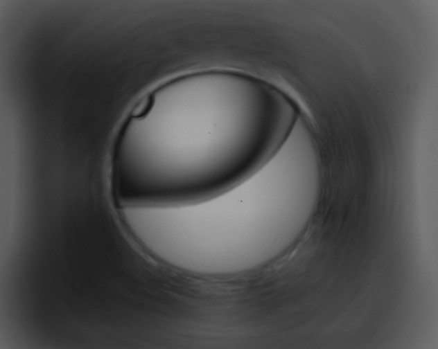 X0000096981508200802080849