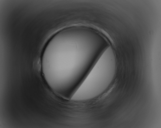X0000096981509200802080849
