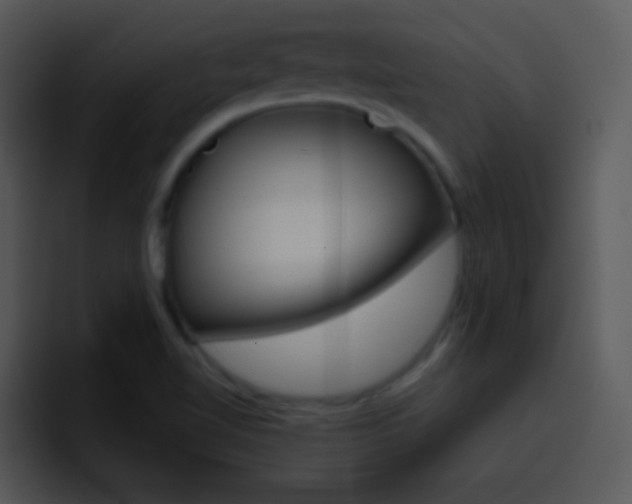 X0000096981510200802080849
