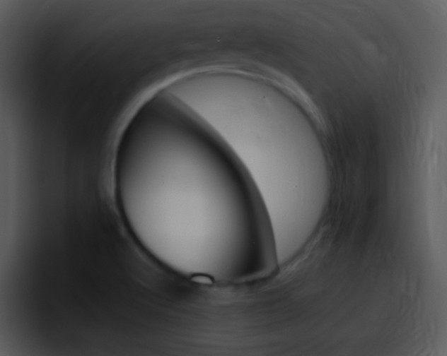 X0000096981512200802080849