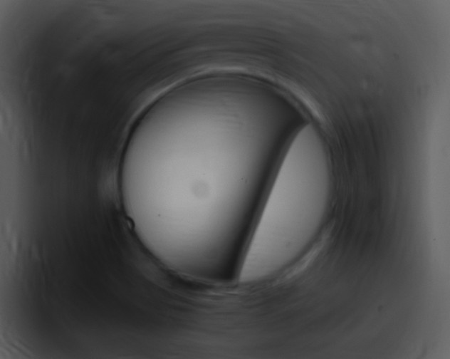 X0000096981513200802080849
