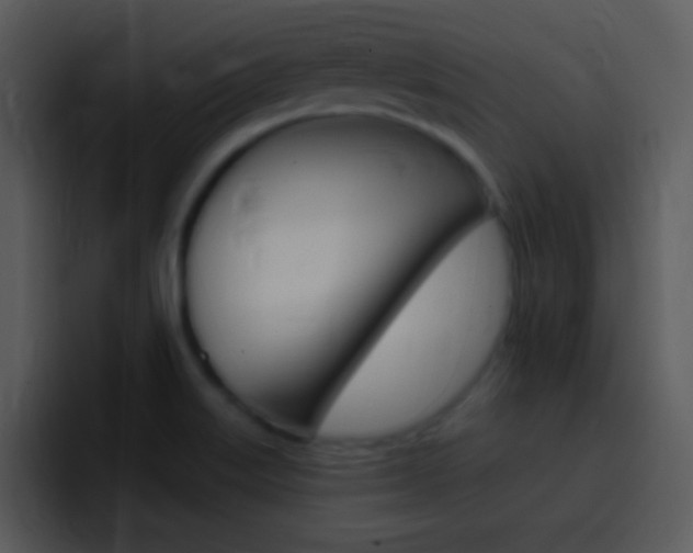 X0000096981515200802080849