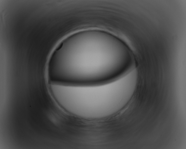 X0000096981516200802080849