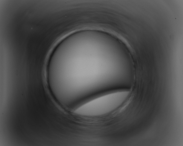 X0000096981517200802080849